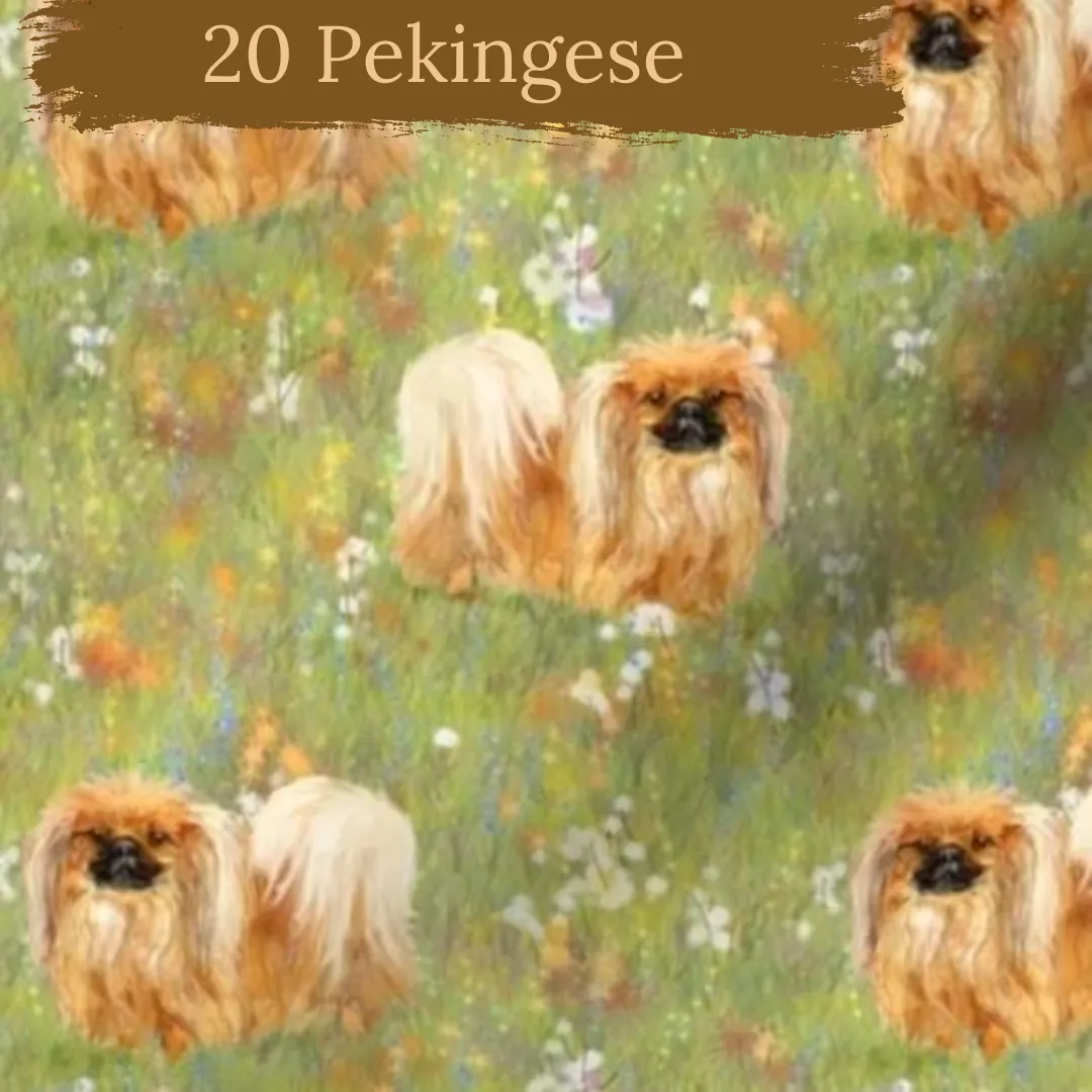 Dog Breeds short cuffed Romper 0-4 years