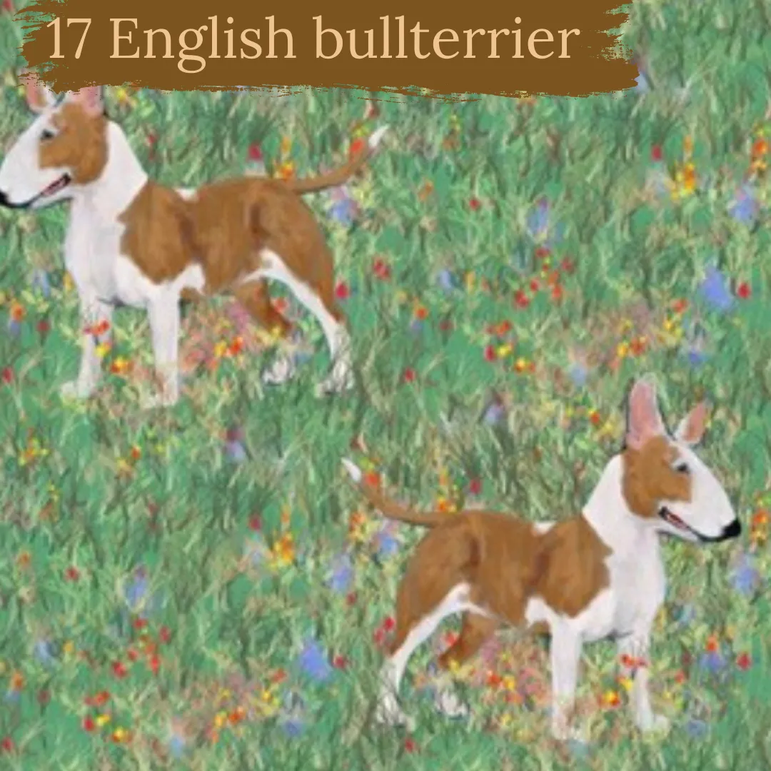 Dog Breeds short cuffed Romper 0-4 years