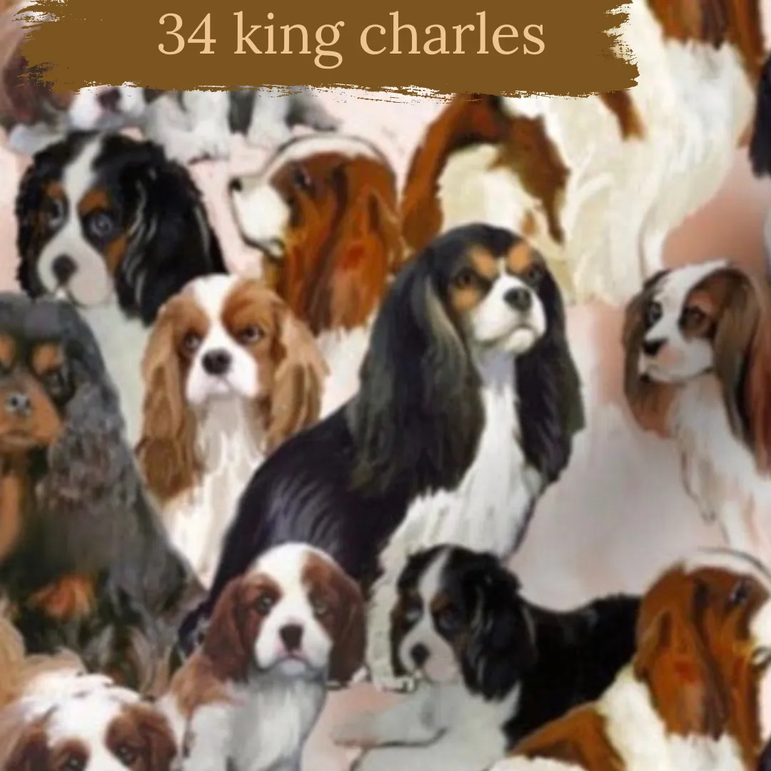 Dog Breeds short cuffed Romper 0-4 years
