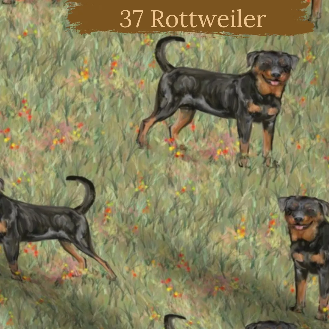 Dog Breeds short cuffed Romper 0-4 years