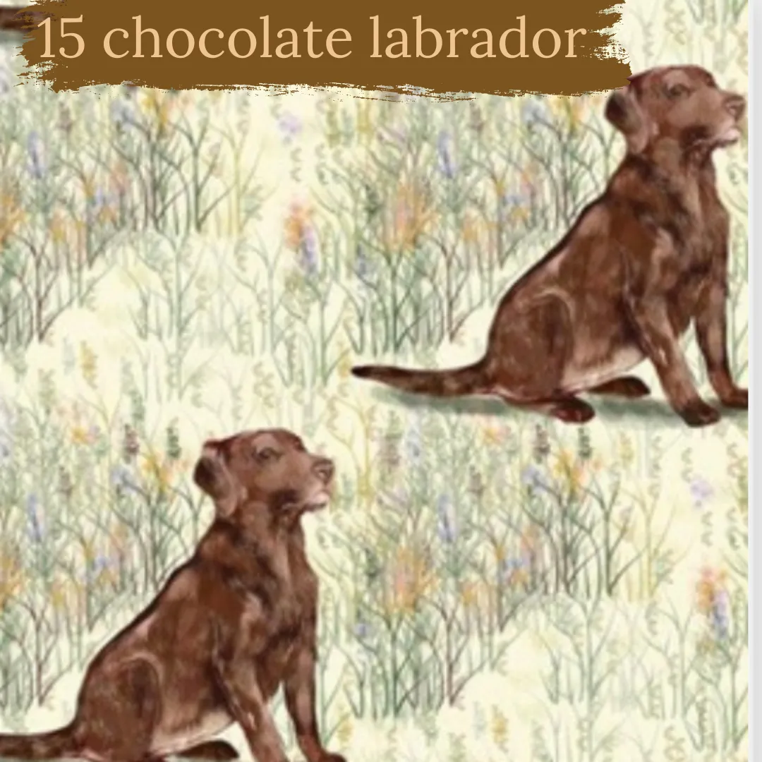 Dog Breeds short cuffed Romper 0-4 years
