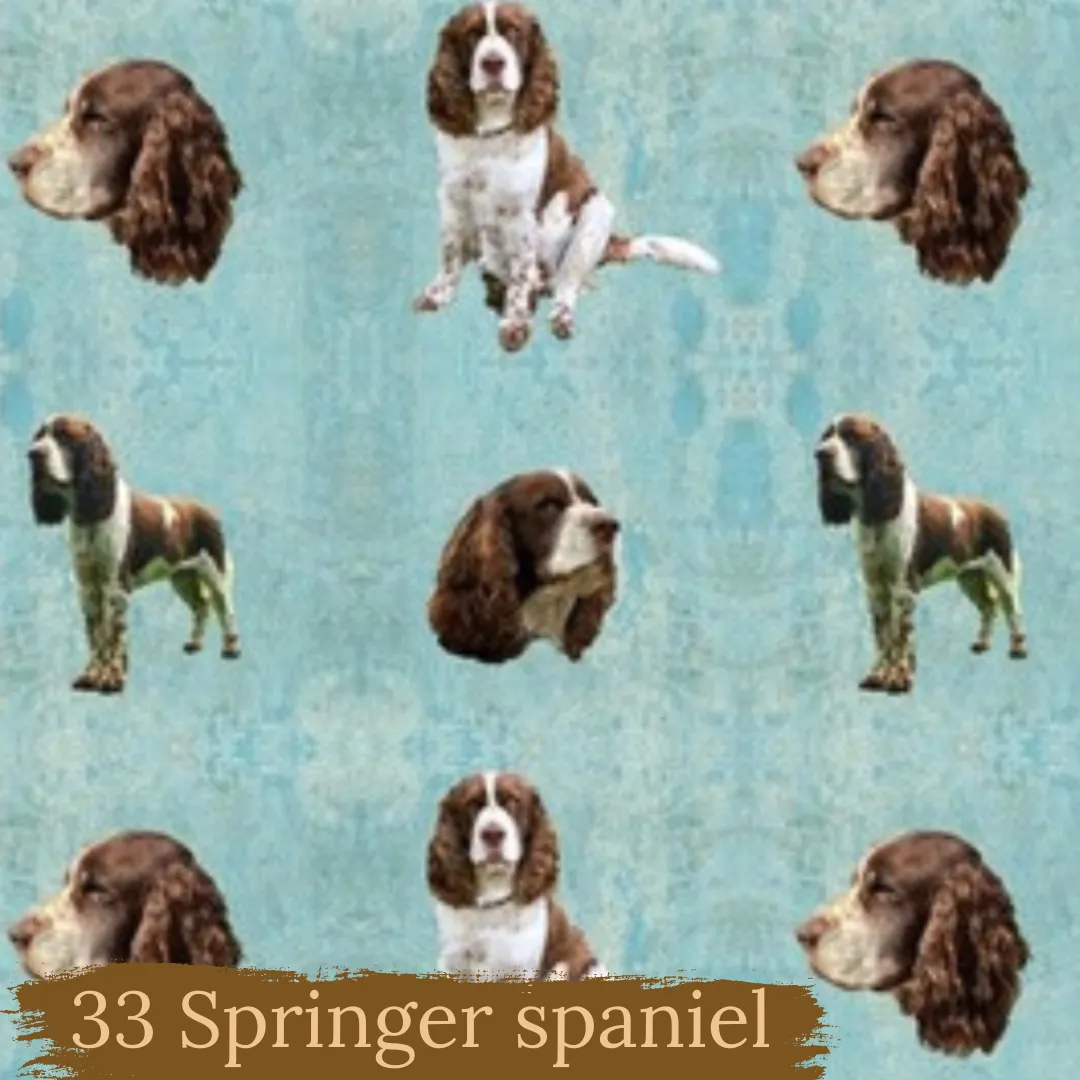 Dog Breeds short cuffed Romper 0-4 years