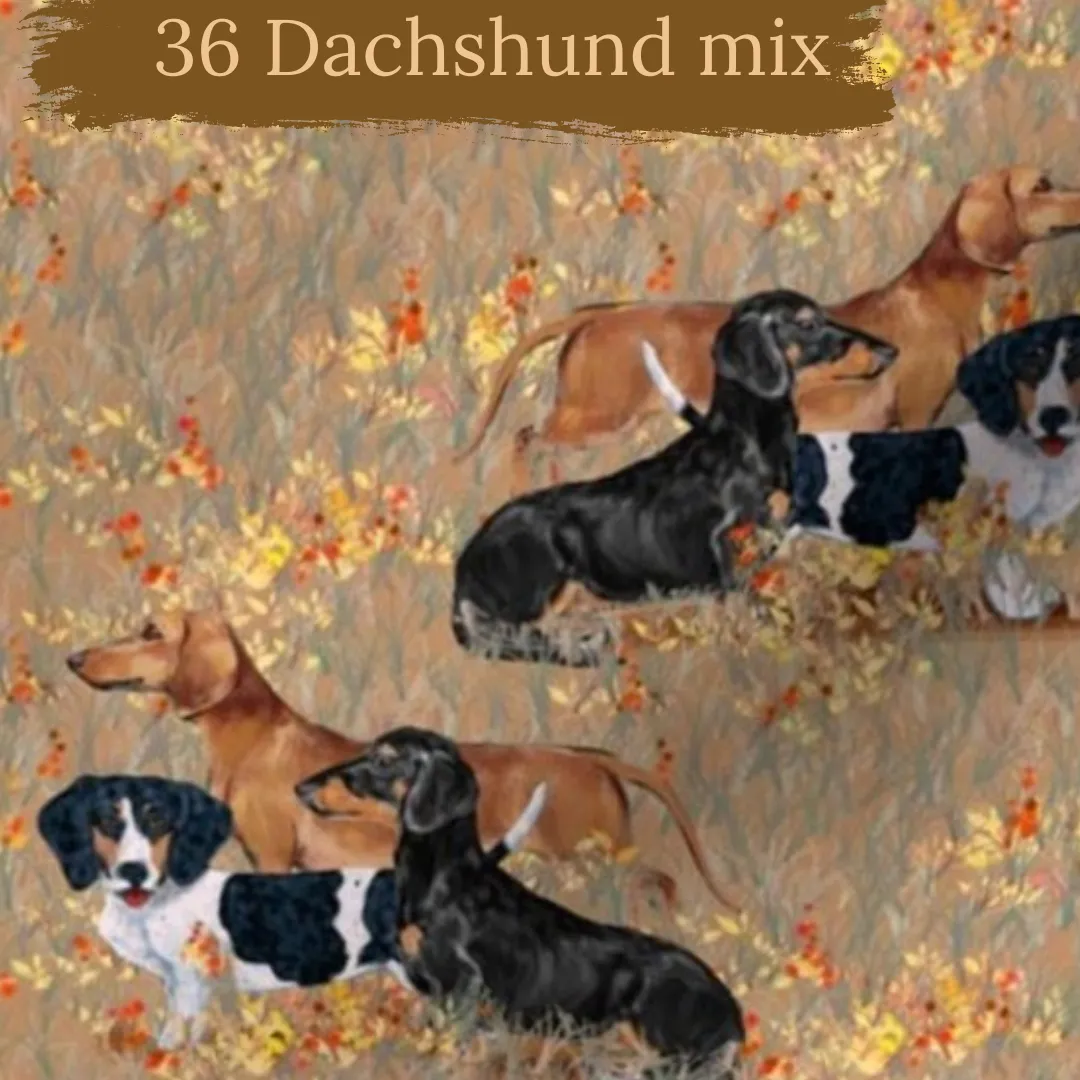 Dog Breeds short cuffed Romper 0-4 years