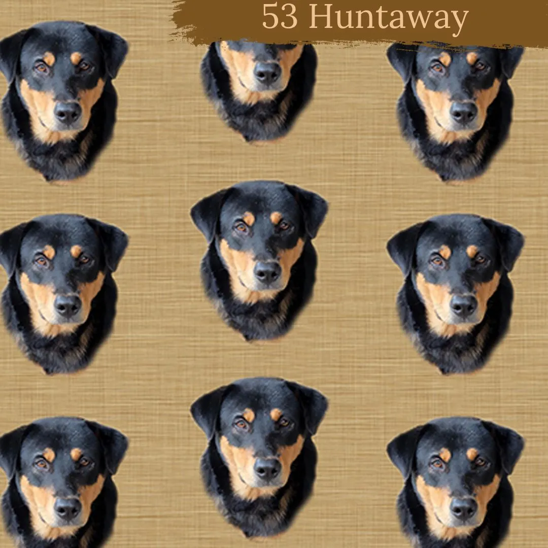 Dog Breeds short cuffed Romper 0-4 years