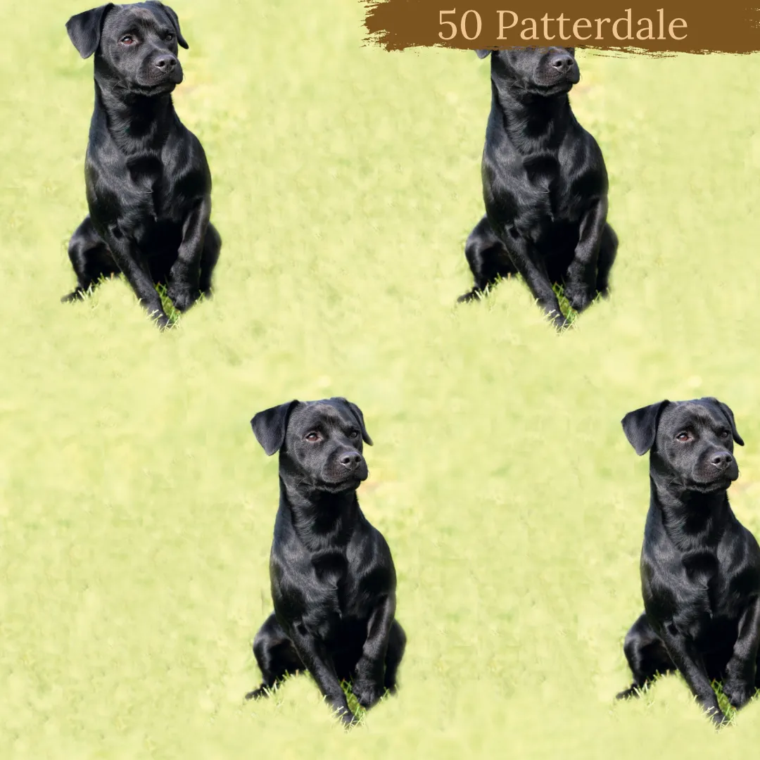 Dog Breeds short cuffed Romper 0-4 years