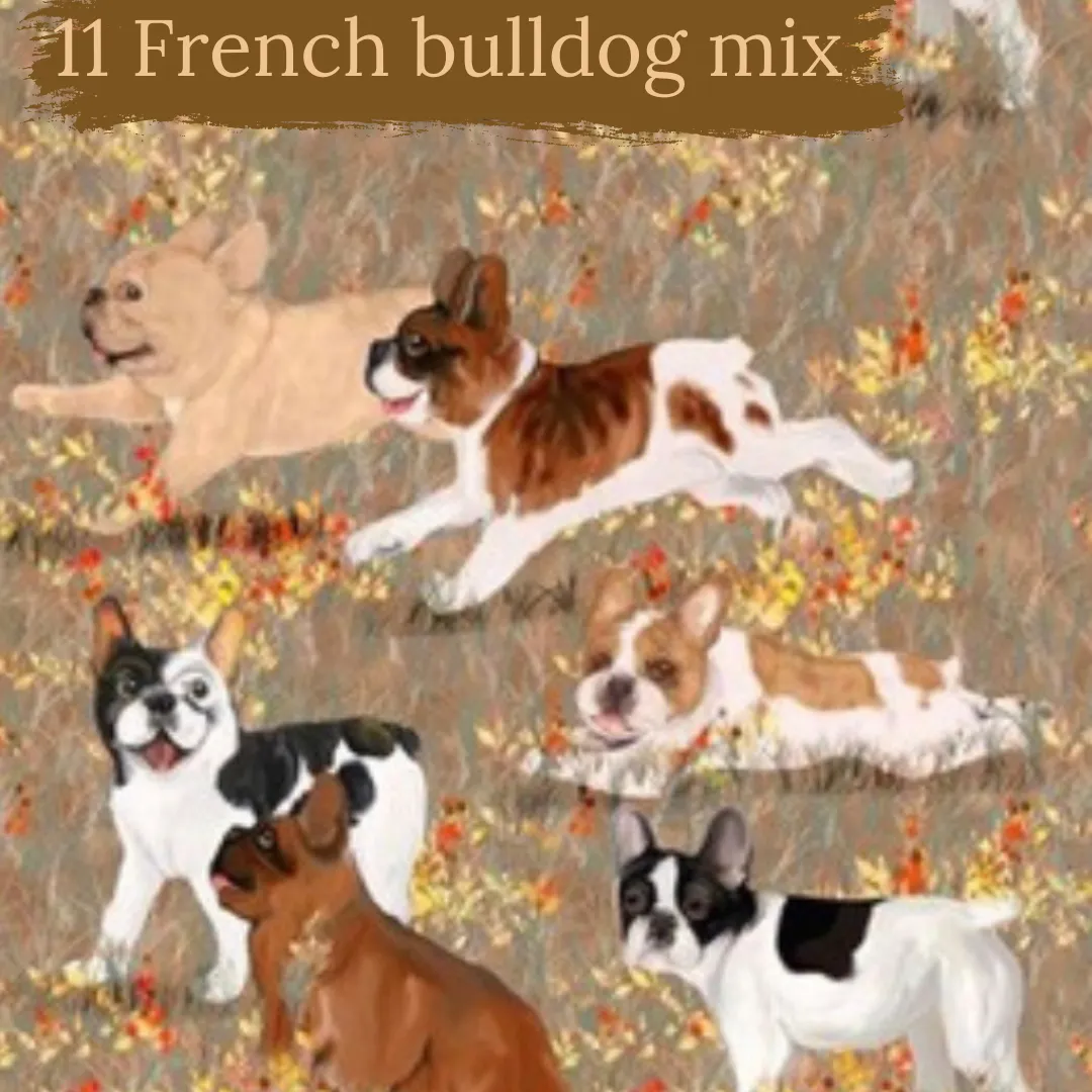 Dog Breeds short cuffed Romper 0-4 years